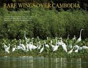 Trip to Prek Toal Bird Sanctuary in Siem Reap